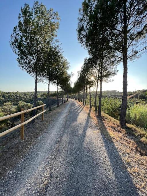 Apto. Rural Cielo. Al Lado Torre Jérica Dış mekan fotoğraf